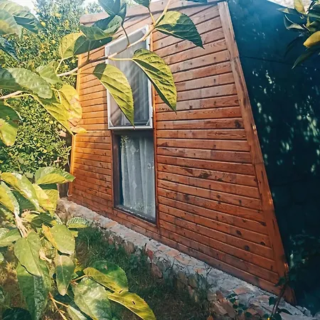 Havikanta Ortaca (Mugla)