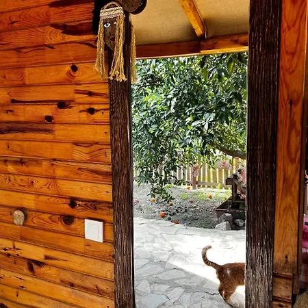 Havikanta * Ortaca (Mugla)