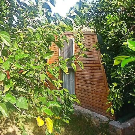 Havikanta 度假居 *