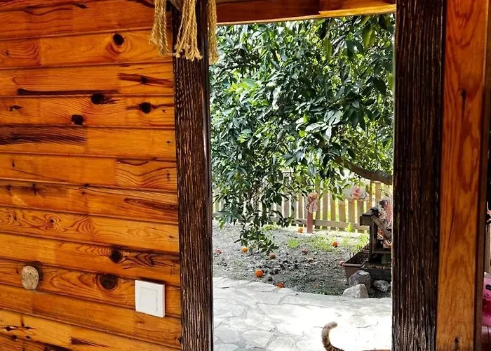 Havikanta * Ortaca (Mugla)