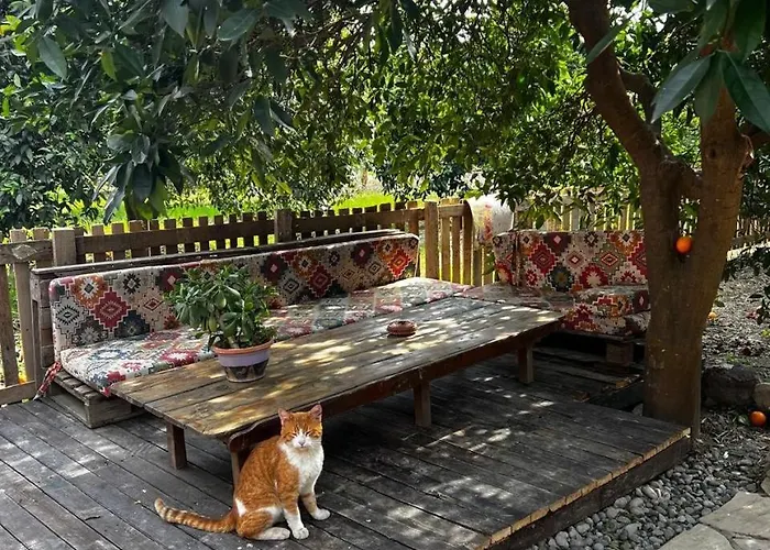 Дом отдыха Havikanta *