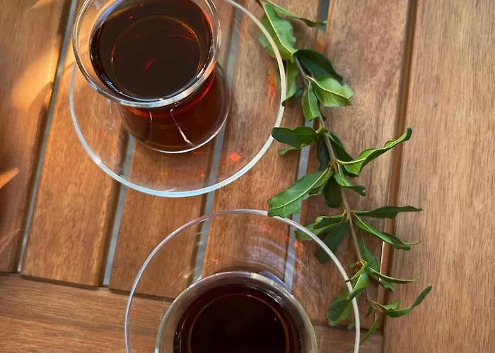 Havikanta Дом отдыха *