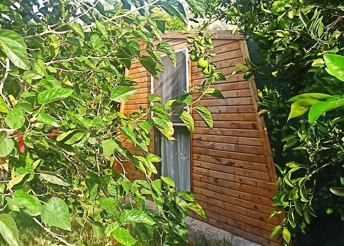 Havikanta Semesterbostad *