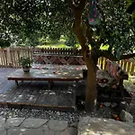 Nyaraló Havikanta Ortaca