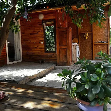 Havikanta Дом отдыха Ортаджа