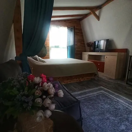 Havikanta أورتاجا