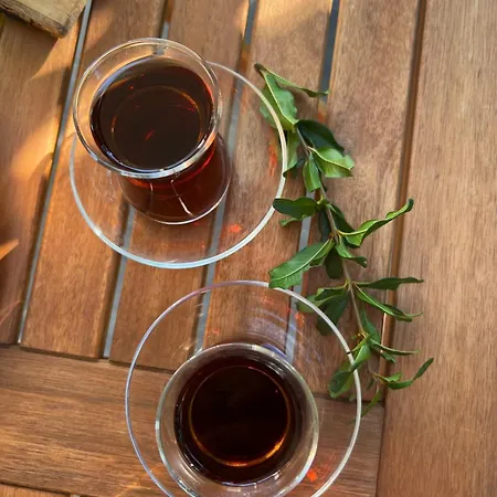 Havikanta Nyaraló *