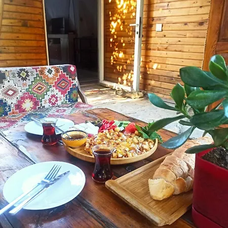 بيت للعطل Havikanta *